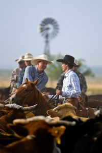 Guys on horses