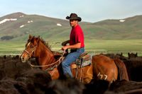 Guys on horses